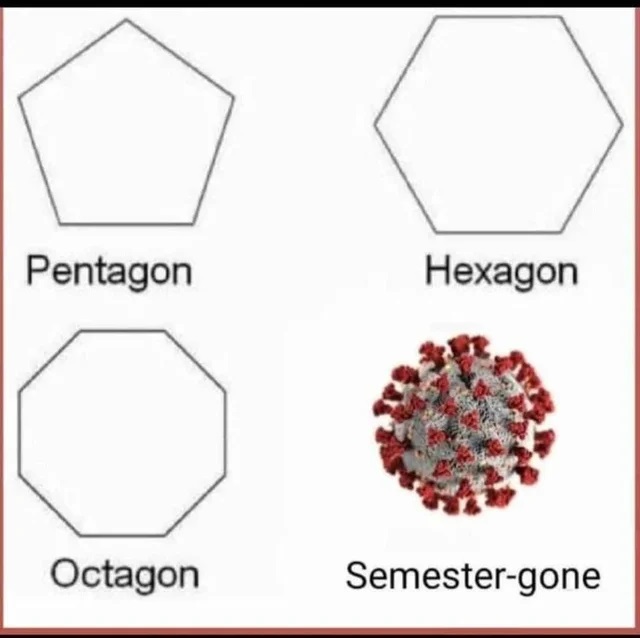 corona virus - Pentagon Hexagon Octagon Semestergone