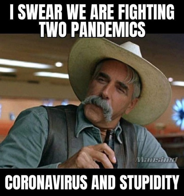 lebowski stranger - I Swear We Are Fighting Two Pandemics Mansited Coronavirus And Stupidity