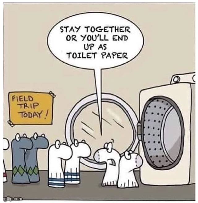 single panel comic - Stay Together Or You'Ll End Up As Toilet Paper Field Trip Today! gflip.com