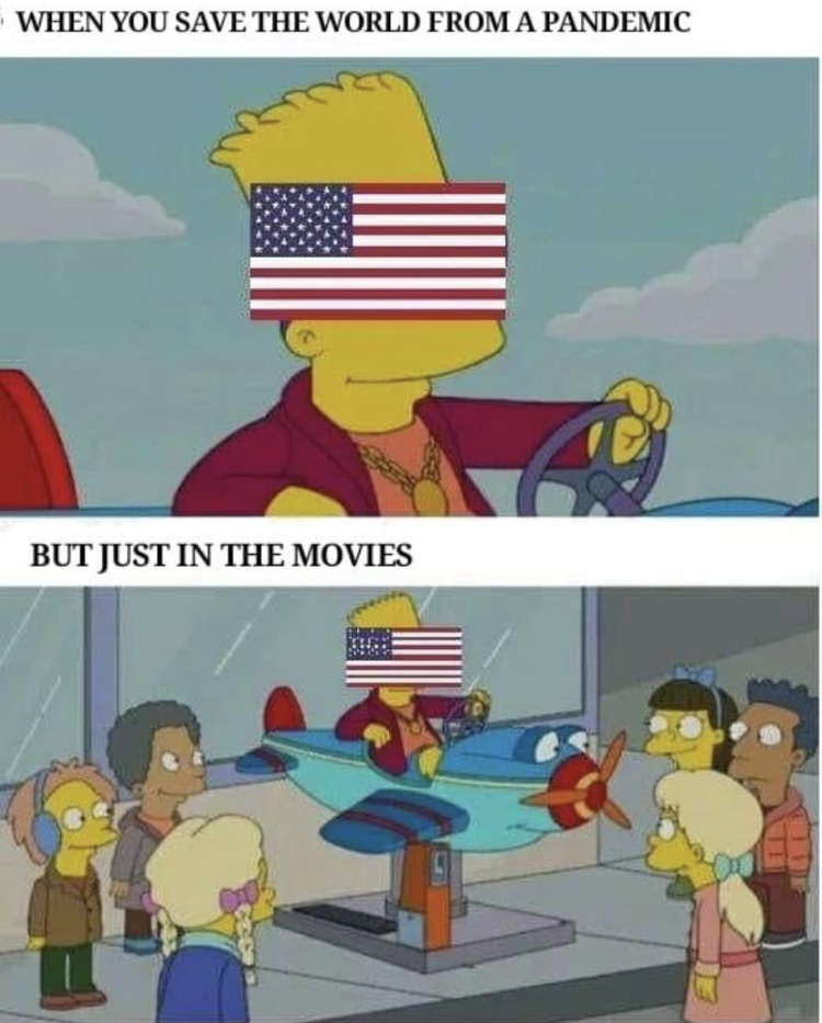 bart plane meme - When You Save The World From A Pandemic But Just In The Movies