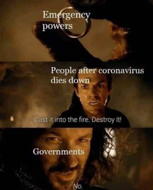 lord of the rings memes - Emergency powers People after coronavirus dies down Cast it into the fire. Destroy it! Governments No.