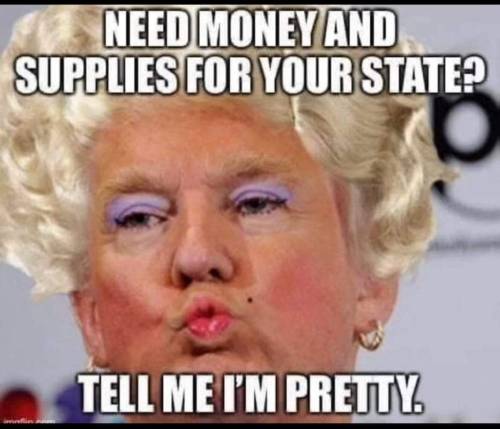 donald trump meme - Need Money And Supplies For Your State? Tell Me I'M Pretty