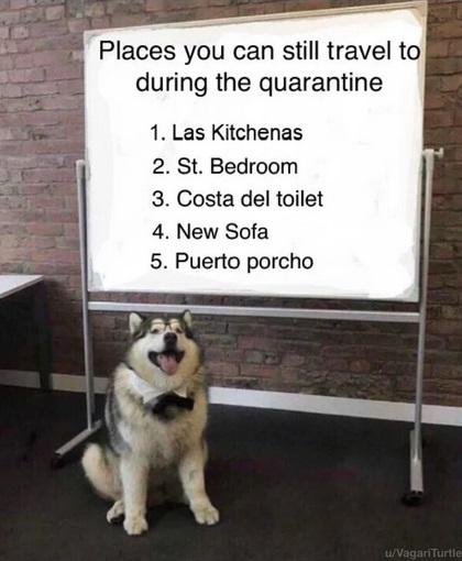 no nut november is easy if you have no nuts - Places you can still travel to during the quarantine 1. Las Kitchenas 2. St. Bedroom 3. Costa del toilet 4. New Sofa 5. Puerto porcho uVagari Turtle