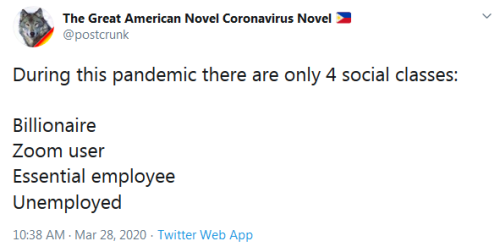 The Great American Novel Coronavirus Novel During this pandemic there are only 4 social classes Billionaire Zoom user Essential employee Unemployed Twitter Web App