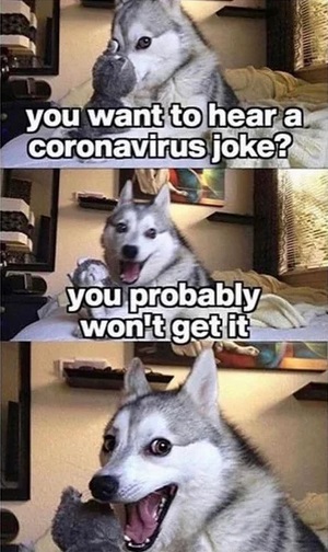 dog coronavirus meme - you want to hear a coronavirus joke? you probably won't get it