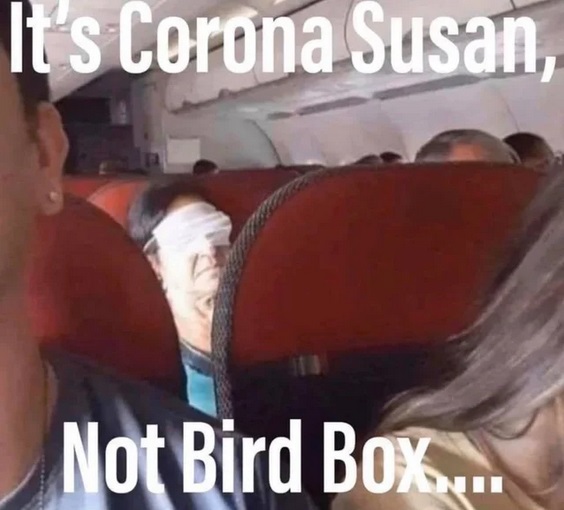 muscle - Its Corona Susan Not Bird Box...