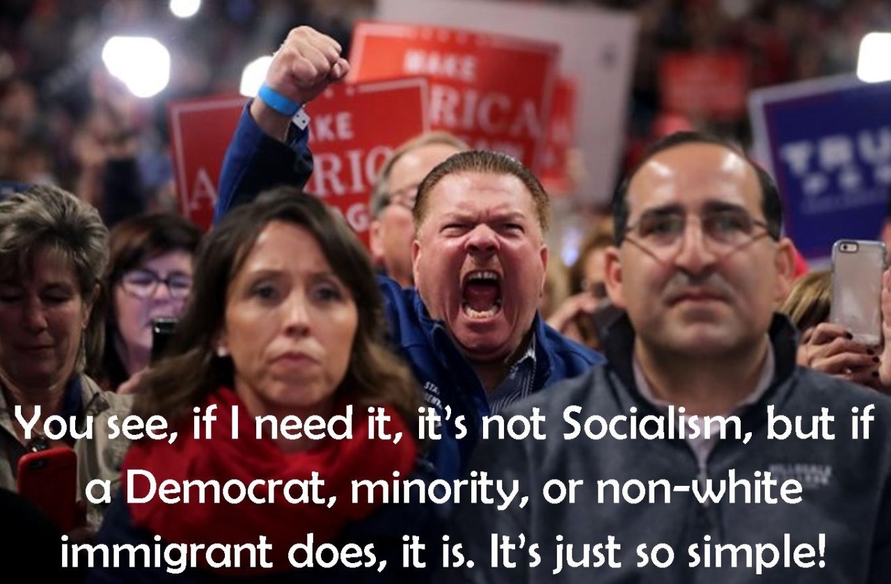 peter lucido - You see, if I need it, it's not Socialism, but if a Democrat, minority, or nonwhite immigrant does, it is. It's just so simple!
