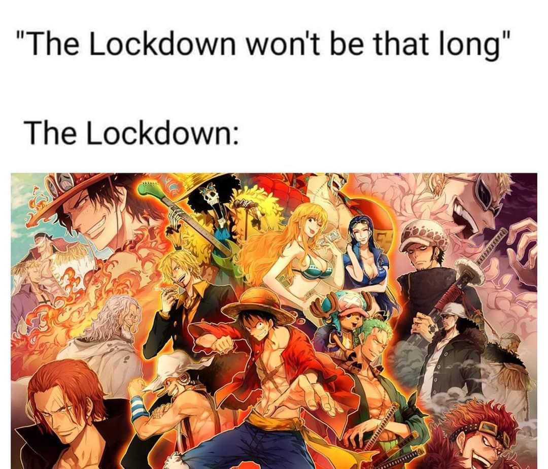 anime one piece keren - "The Lockdown won't be that long" The Lockdown Winner oo