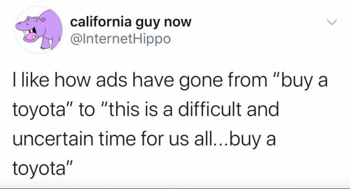 trump fixed election - california guy now Hippo I how ads have gone from "buy a toyota" to "this is a difficult and uncertain time for us all...buy a toyota"