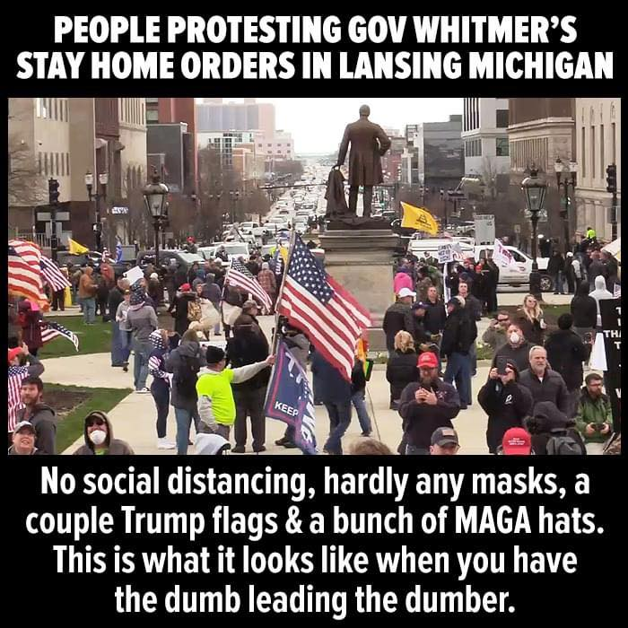 funny t shirts - People Protesting Gov Whitmer'S Stay Home Orders In Lansing Michigan No social distancing, hardly any masks, a couple Trump flags & a bunch of Maga hats. This is what it looks when you have the dumb leading the dumber.