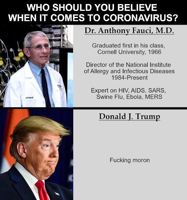 Donald Trump - Who Should You Believe When It Comes To Coronavirus? Dr. Anthony Fauci, M.D. Graduated first in his class, Cornell University, 1966 Director of the National Institute of Allergy and Infectious Diseases 1984Present Expert on Hiv, Aids, Sars,