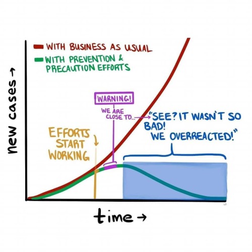diagram - With Business As Usual With Prevention & Precaution Efforts Warning! new cases We Are Close To.. Efforts Start Working "See? It Wasn'T So Bad! We Overreacted! time