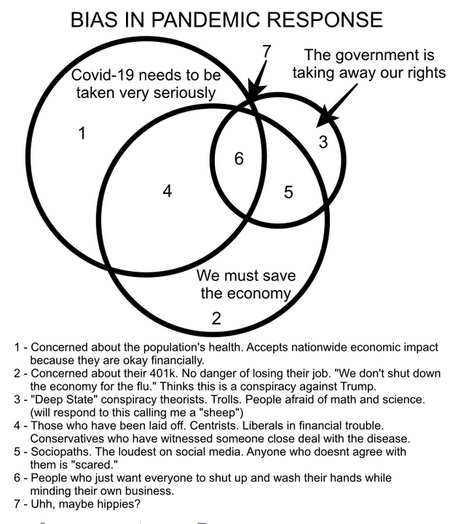 cartoon - Bias In Pandemic Response The government is Covid19 needs to be taking away our rights taken very seriously We must save the economy 1. Concerned about the population's health. Accepts nationwide economic impact because they are okay financially