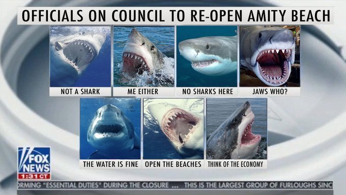 fox news - Officials On Council To ReOpen Amity Beach Not A Shark Me Either No Sharks Here Jaws Who? Po News The Water Is Fine Open The Beaches Think Of The Economy Ct Prming "Essential Duties During The Closure ... This Is The Largest Group Of Furloughs 