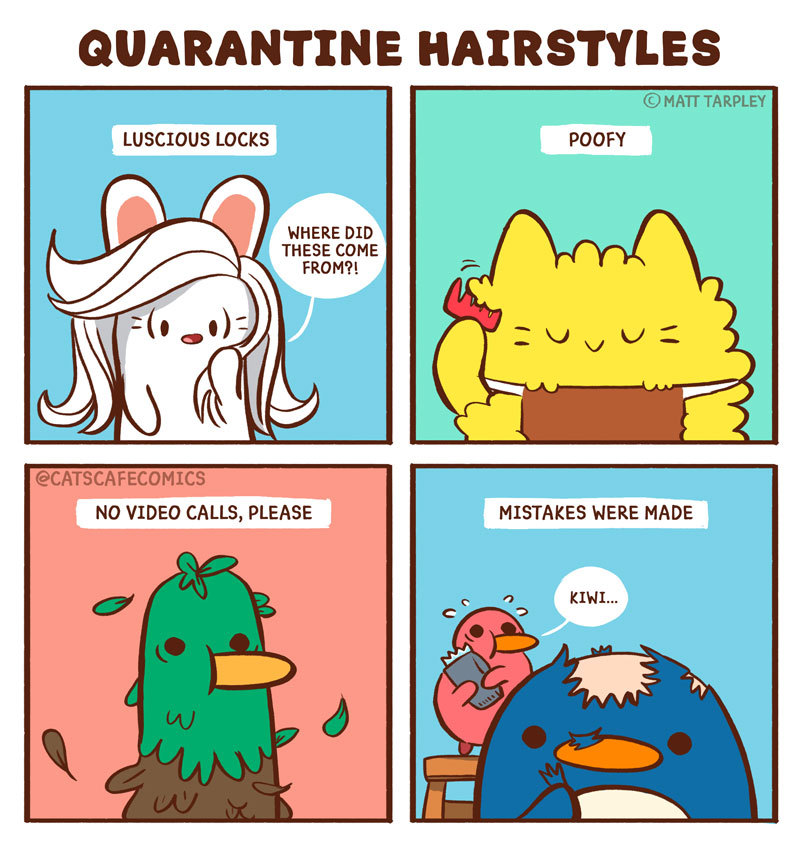 cartoon - Quarantine Hairstyles Matt Tarpley Luscious Locks Poofy Where Did These Come From?! No Video Calls, Please Mistakes Were Made no Kiwi... a w