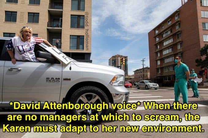 luxury vehicle - holloman David Attenborough voice When there are no managers at which to scream, the Karen must adapt to her new environment.