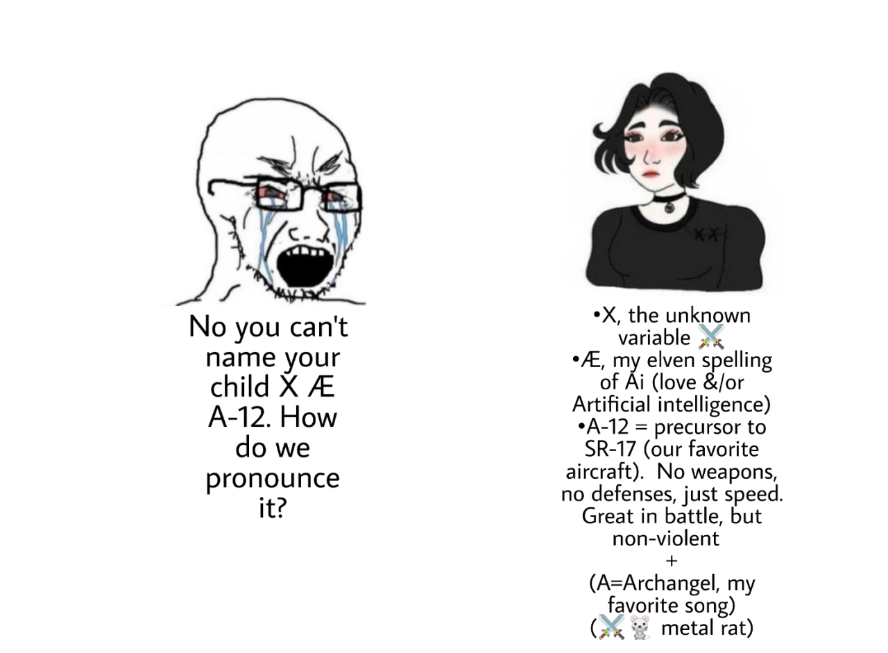 cartoon - No you can't name your child X A12. How do we pronounce it? X, the unknown variable , my elven spelling of Ai love &or Artificial intelligence A12 precursor to Sr17 our favorite aircraft. No weapons, no defenses, just speed. Great in battle, but