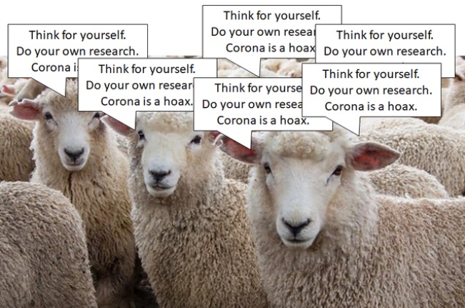 sheep faces - Think for yourself. Think for yourself. Do your own reseat Think for yourself. Corona is a hoax Do your own research. Do your own research. Corona i Think for yourself. Think for yourself. Do your own researThink for yourse Do your own resea