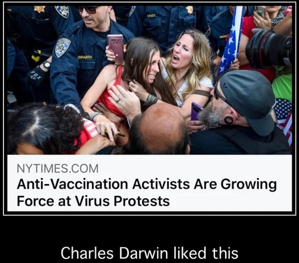 california protest - Nart Nytimes.Com AntiVaccination Activists Are Growing Force at Virus Protests Charles Darwin d this