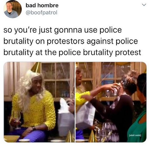 so you just gonna bomb syria - bad hombre so you're just gonnna use police brutality on protestors against police brutality at the police brutality protest adult swim