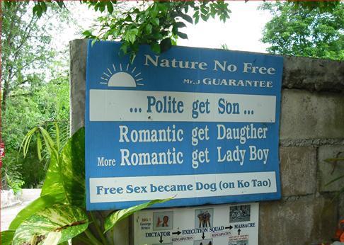 Funny signs from around the world