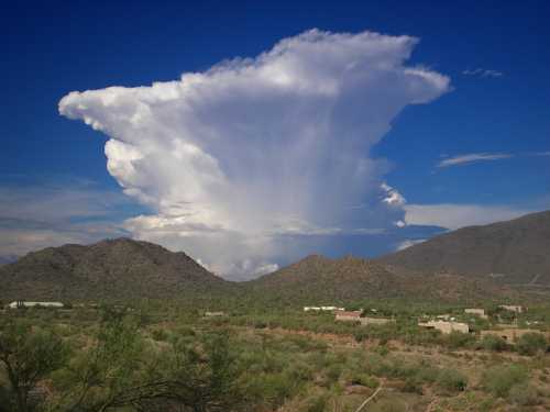Monsoon Season in Phoenix 2
