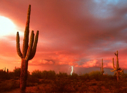 Monsoon Season in Phoenix 2