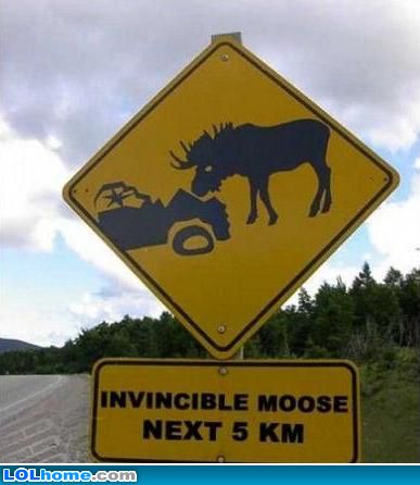 Invincible Moose