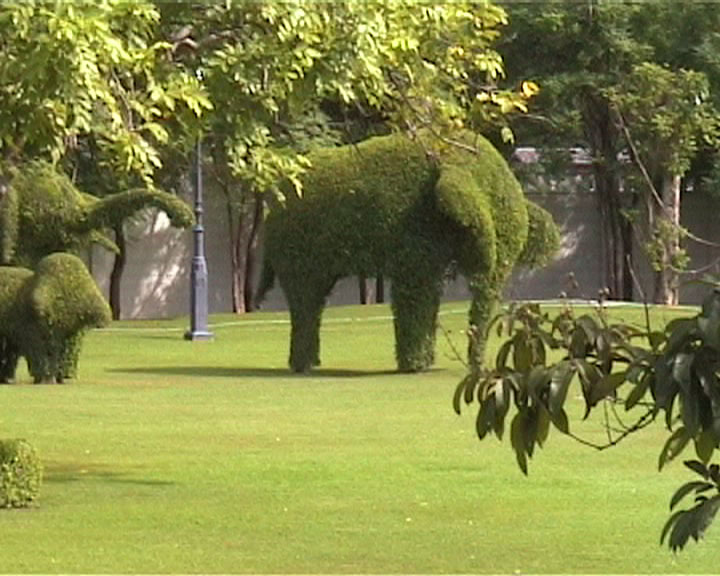 Hedge Sculptures