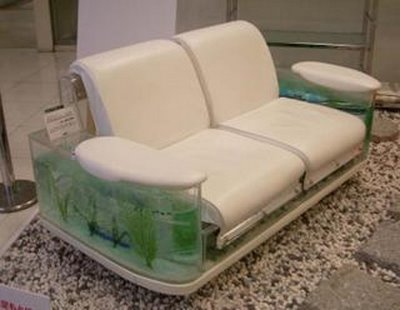 A usable sofa?