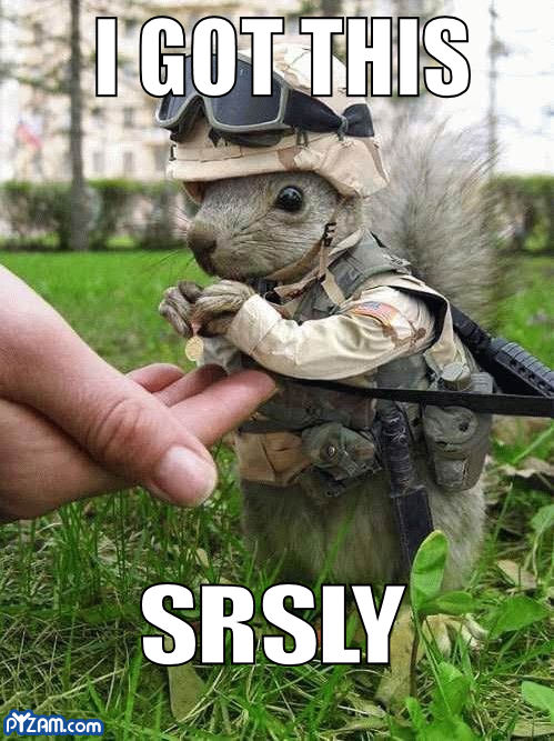army squirrel - Gotthis Srsly Pyzam.com