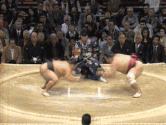 Sumo Fight in the style of dragonball z