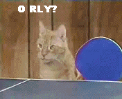 cats playing ping pong 
