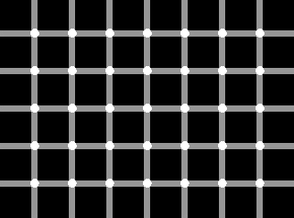 Try and count the black dots on the grey lines 