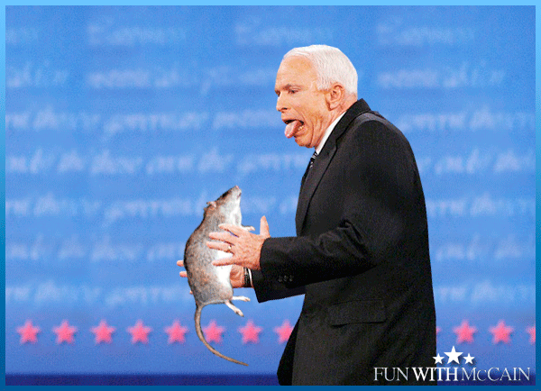 Fun With McCain