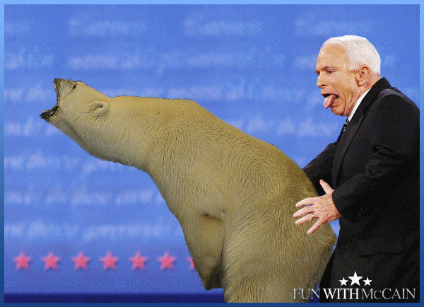 Fun With McCain 2