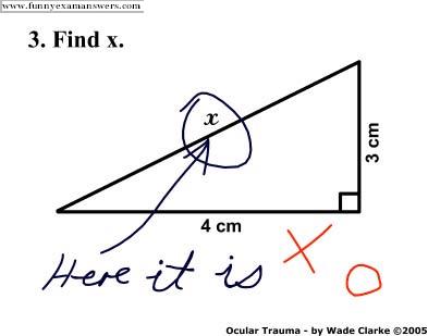 Funny Test Answers
