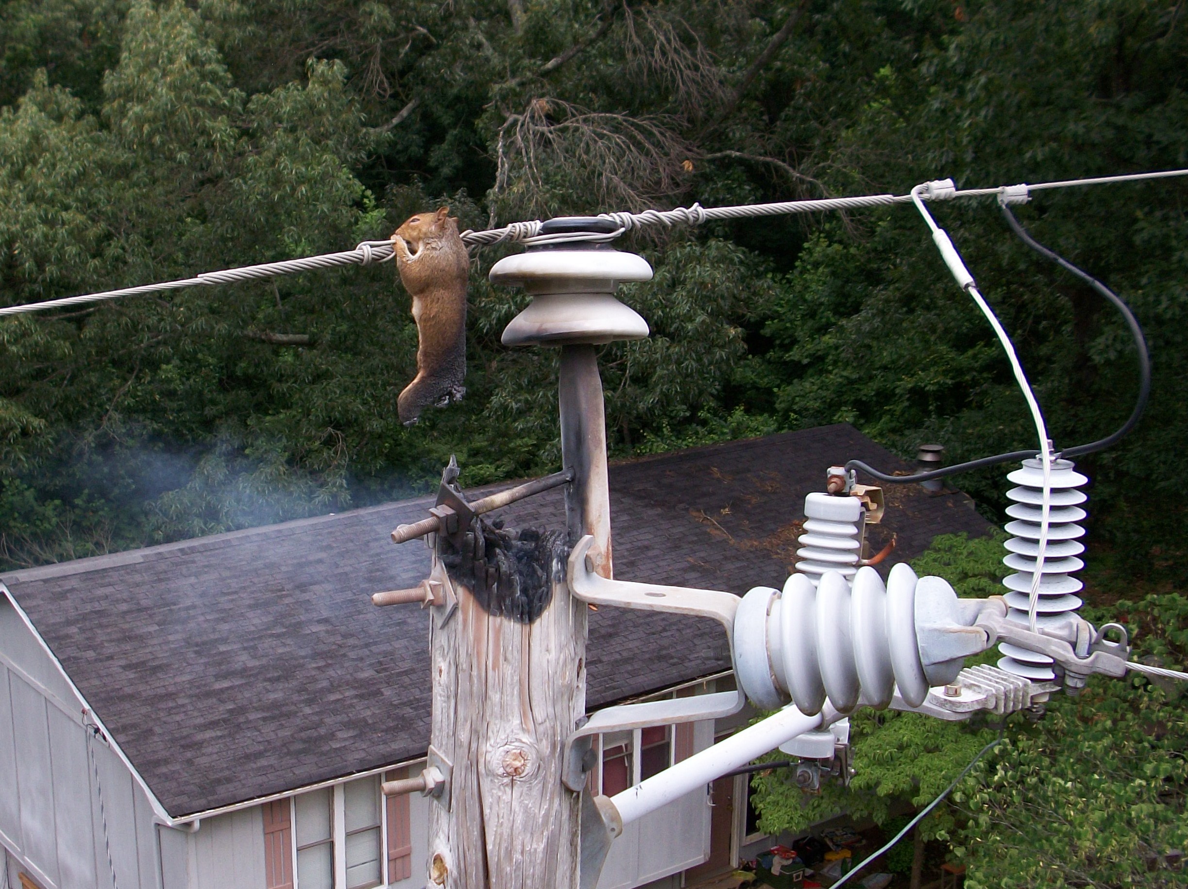A buddy of mine who works as a lineman for our regional power company sent these to me.  Happen just yesterday (6-6-12).
