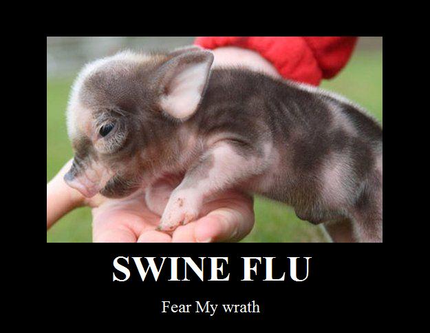 Cheney  Swine flu