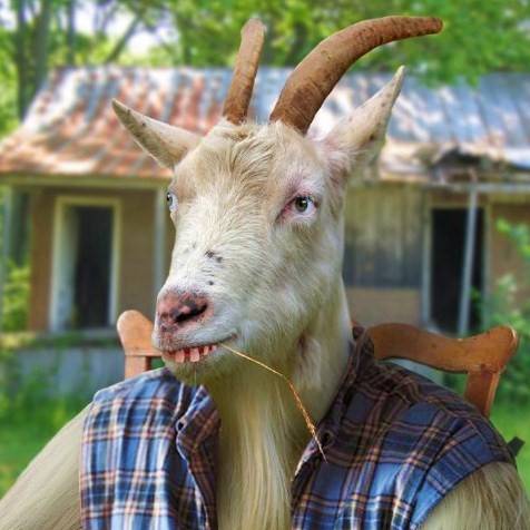 Goat Man Pictures