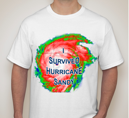 enfp tshirt - Survived Hurricane Sandy