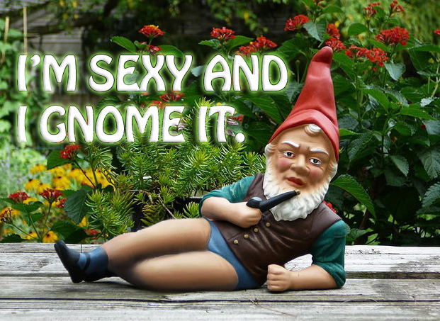 Sexy gnome... so sexy. I have a blank copy of this image on my website for any of you meme makers out there.