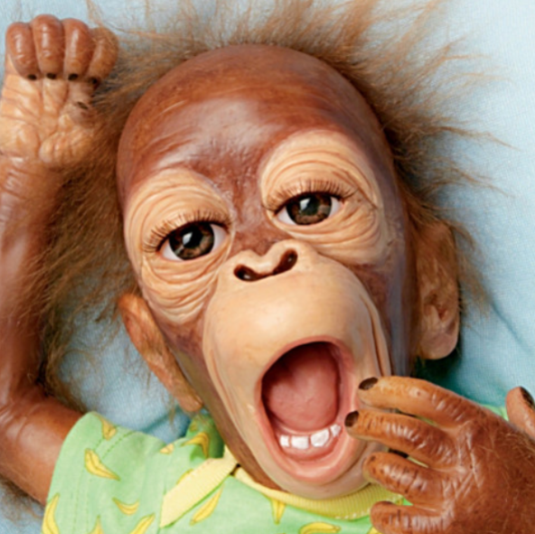 22 Creepy Baby Monkey Doll Photos