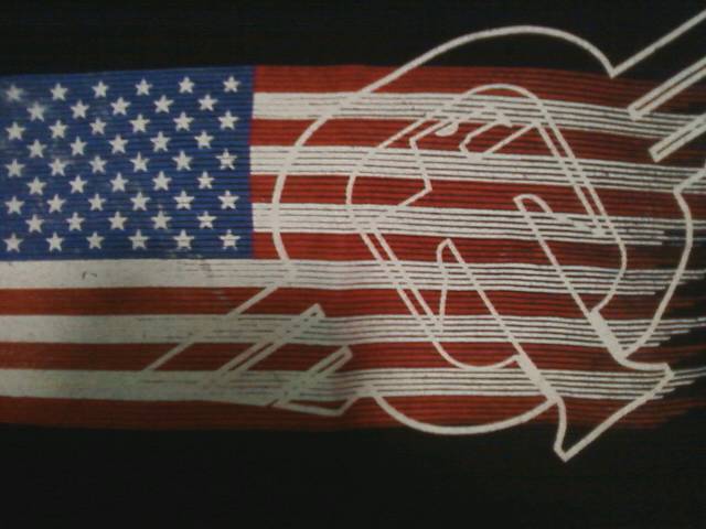 Tapout logo with american flag.