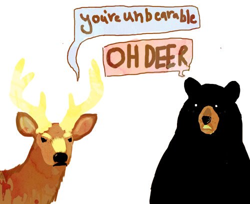 oh deer pun - you're unbearable Oh Deer