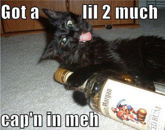 drunk cat - Got a lil 2 much ani Morgan cap'n in meh Ed Rom