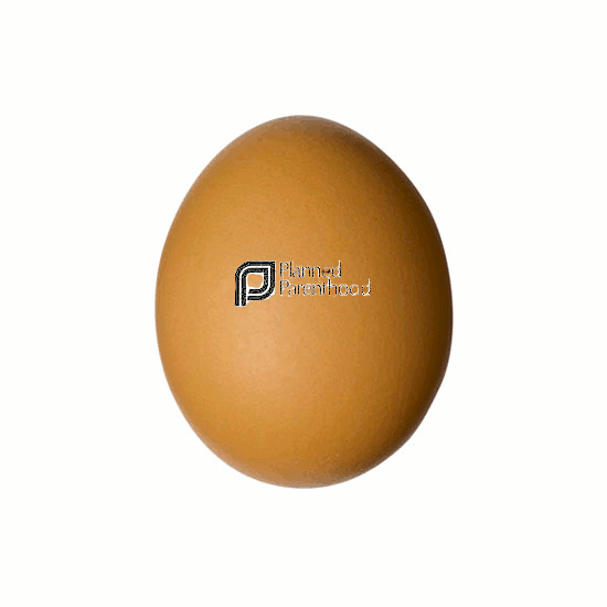 egg.or is it?