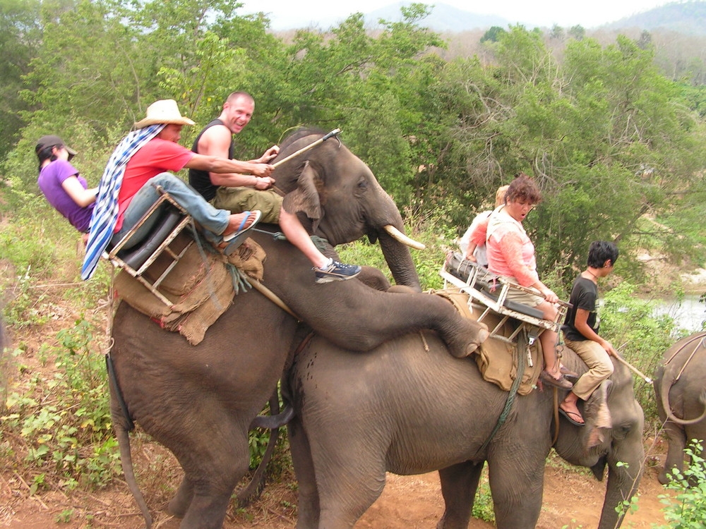 A venture in Thailand goes a little wrong or plenty of right depending on who you ask.