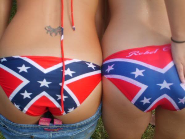15 Reasons Not To Ban The Confederate Flag