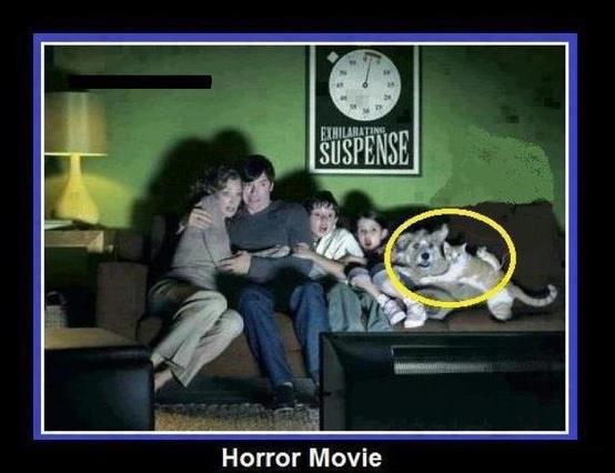 For The Horror Fans-Theres a Monster In All Of Us!